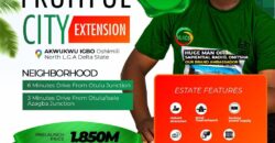 FRIUTFUL CITY EXTENSION